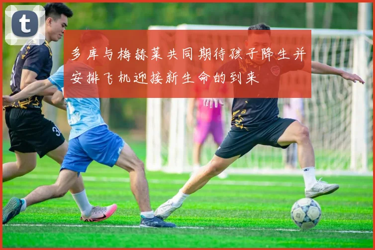 多库与梅赫莱共同期待孩子降生并安排飞机迎接新生命的到来